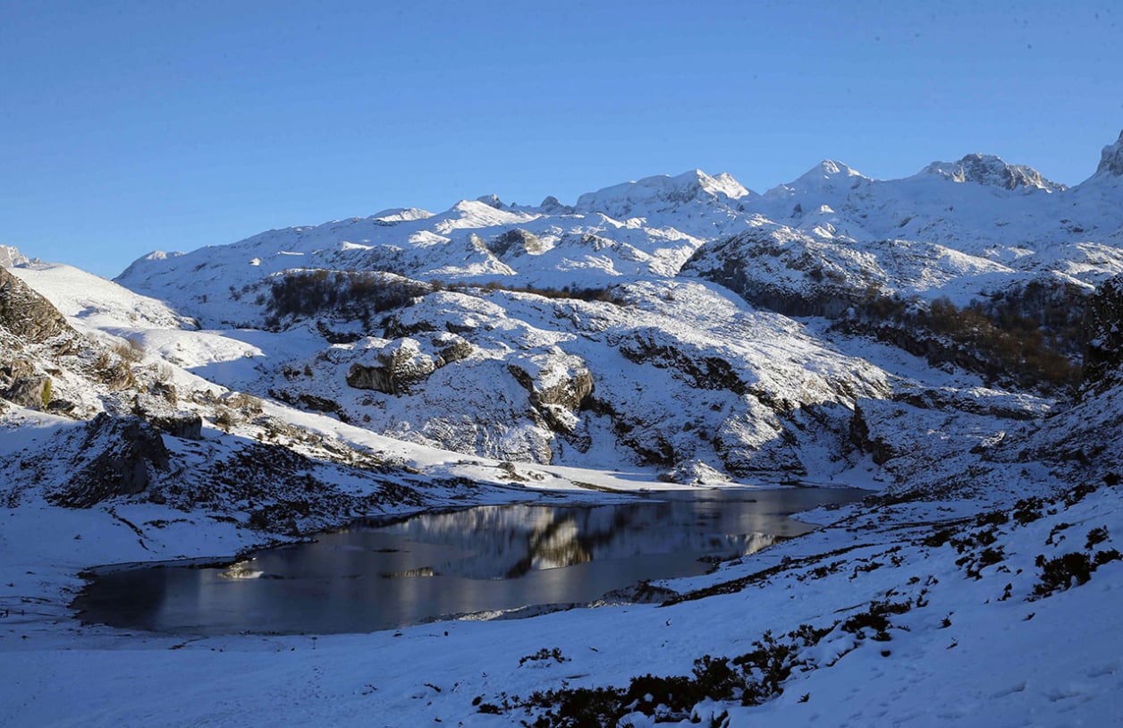 Picos de Europa